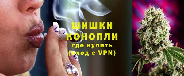 мяу мяу мука Абаза