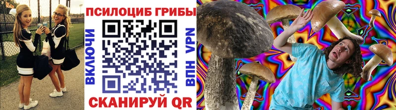 Галлюциногенные грибы мицелий  Касимов 
