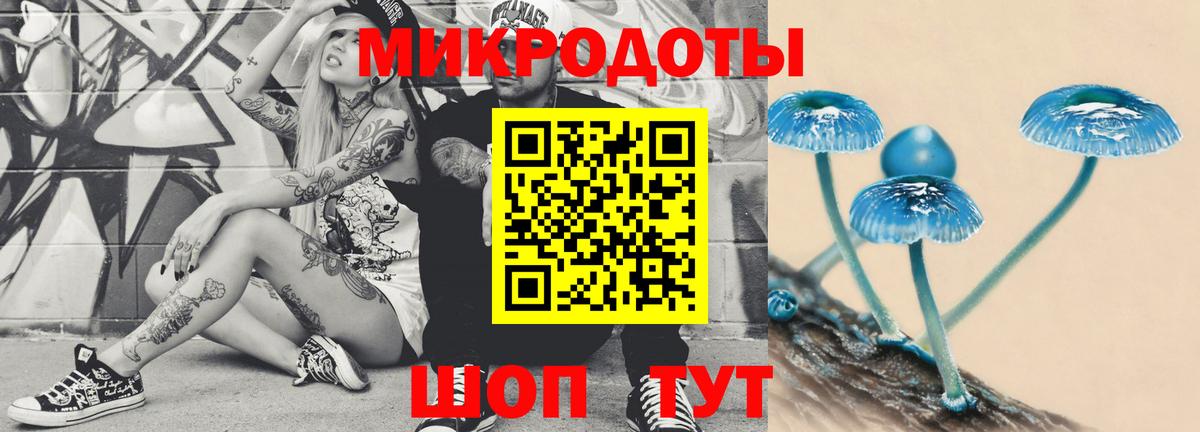 Касимов  Галлюциногенные грибы Cubensis  Вход с VPN 