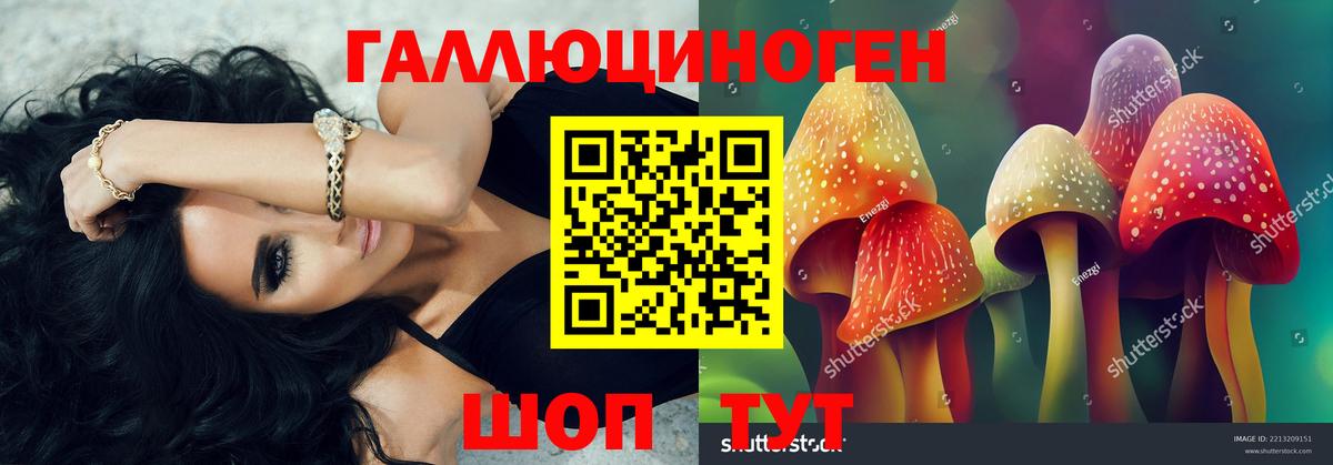 Галлюциногенные грибы мицелий Касимов